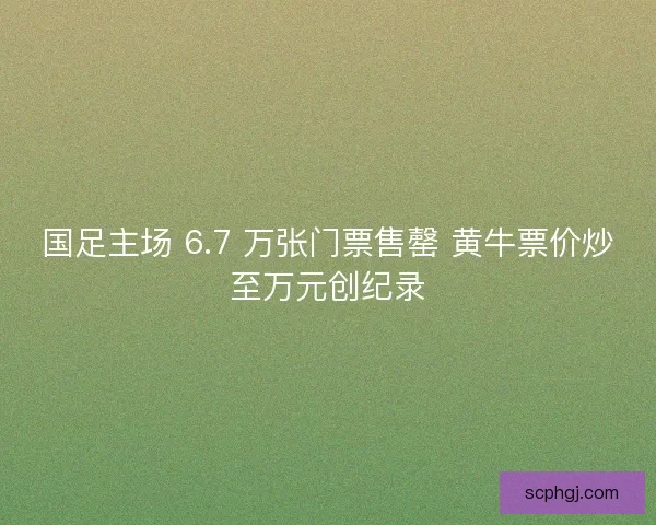国足主场 6.7 万张门票售罄 黄牛票价炒至万元创纪录